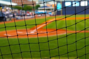 Backstop Net