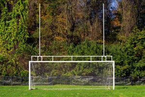 Combination Football/Soccer Goal