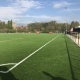 shockpad-field-2