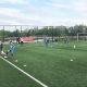 shockpad-field