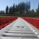 galvanized_grate_4