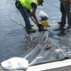 terminator-drain-system-installation-19