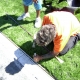 terminator-drain-system-installation-24