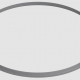 SE376S-Shot-Put-Ring